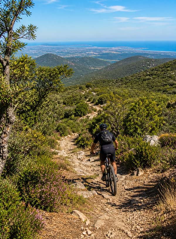 Sentier vélo dans le massif des Maures près de Hyères, Var